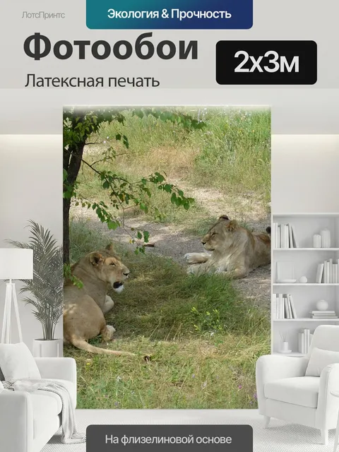 200 × 300 см · Латексная печать