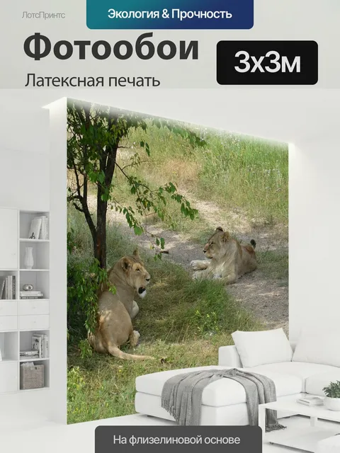 300 × 300 см · Латексная печать