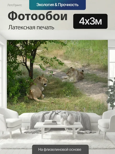 400 × 300 см · Латексная печать