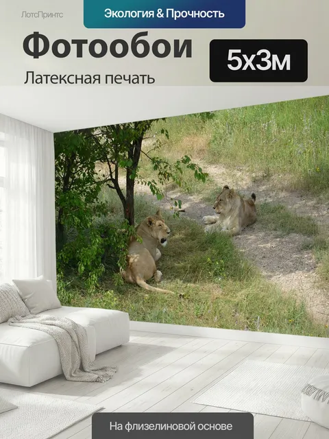 500 × 300 см · Латексная печать