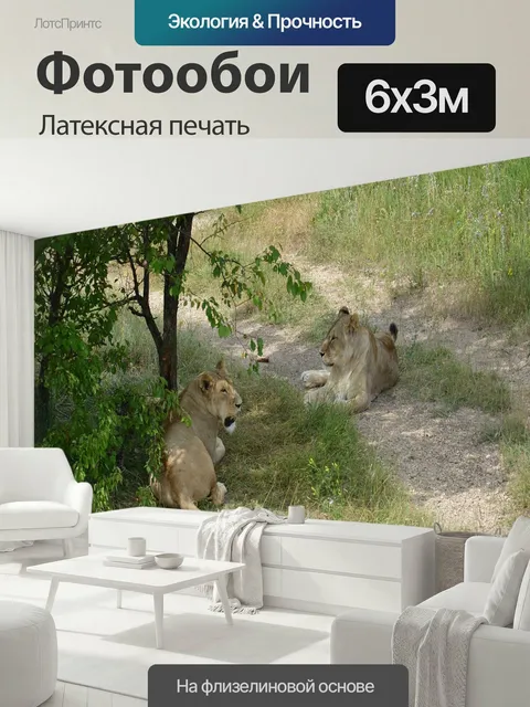 600 × 300 см · Латексная печать