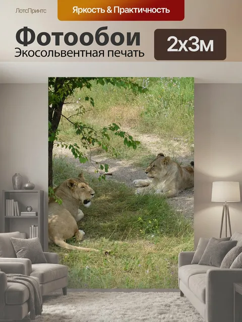 200 × 300 см · Экосольвентная печать