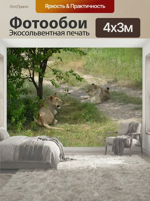 400 × 300 см · Экосольвентная печать