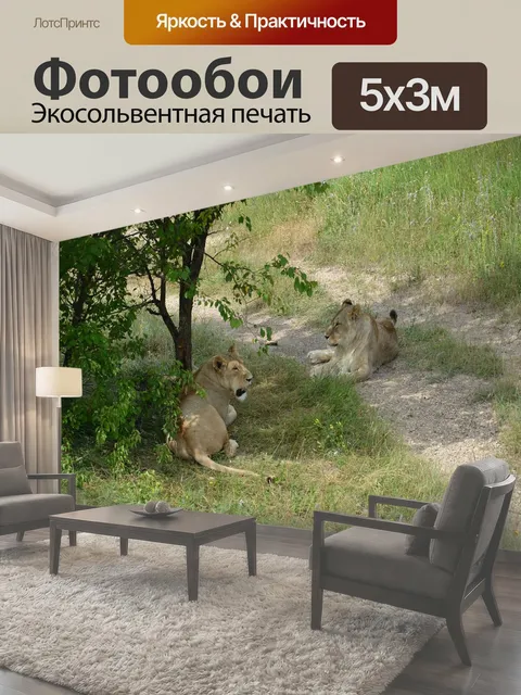 500 × 300 см · Экосольвентная печать