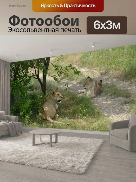 600 × 300 см · Экосольвентная печать