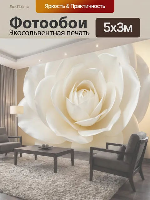 Фотообои Белая роза крупным планом