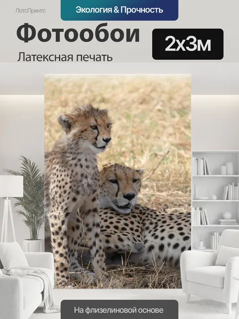 200 × 300 см · Латексная печать