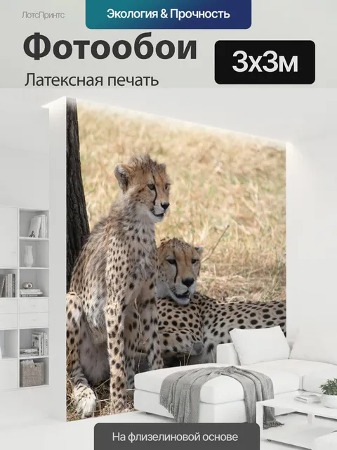 300 × 300 см · Латексная печать