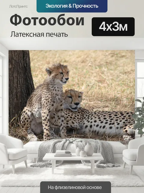 400 × 300 см · Латексная печать