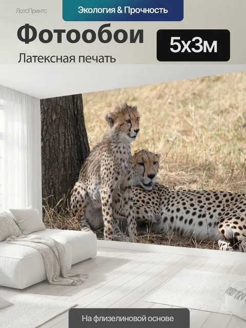500 × 300 см · Латексная печать