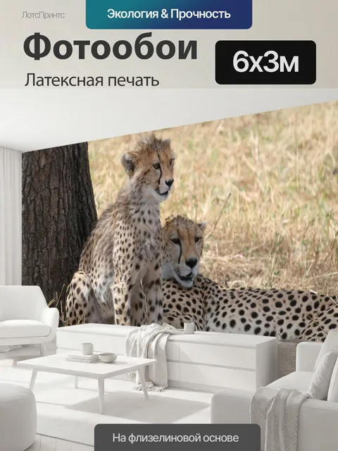 600 × 300 см · Латексная печать
