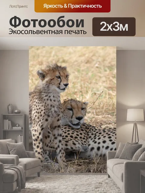 200 × 300 см · Экосольвентная печать