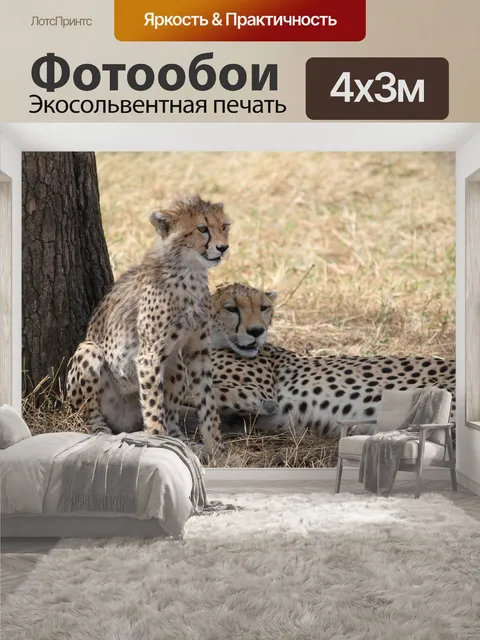 400 × 300 см · Экосольвентная печать