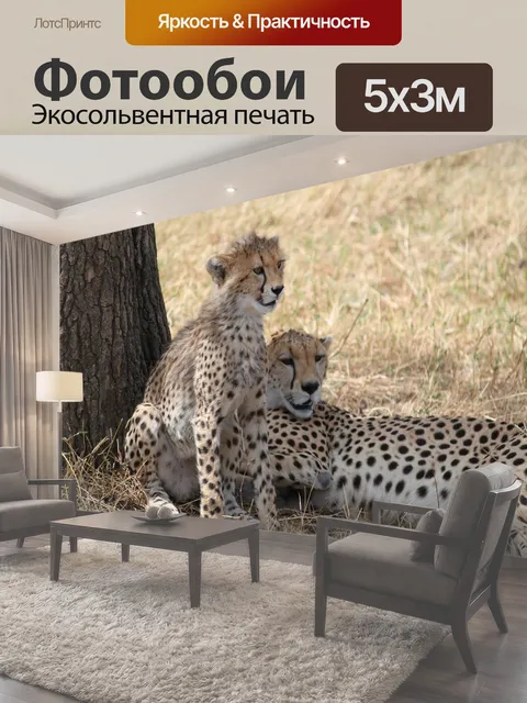 500 × 300 см · Экосольвентная печать
