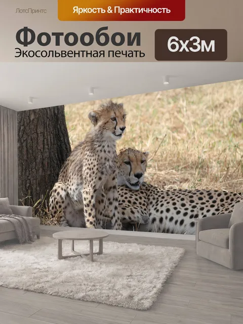 600 × 300 см · Экосольвентная печать