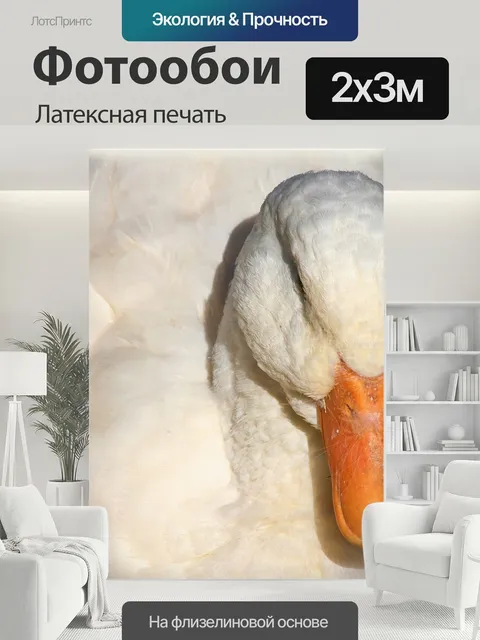 200 × 300 см · Латексная печать