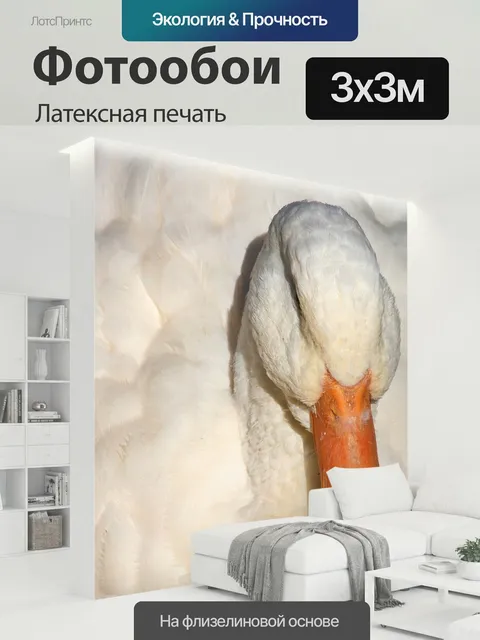 300 × 300 см · Латексная печать