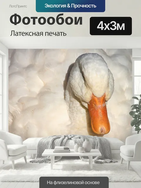 400 × 300 см · Латексная печать