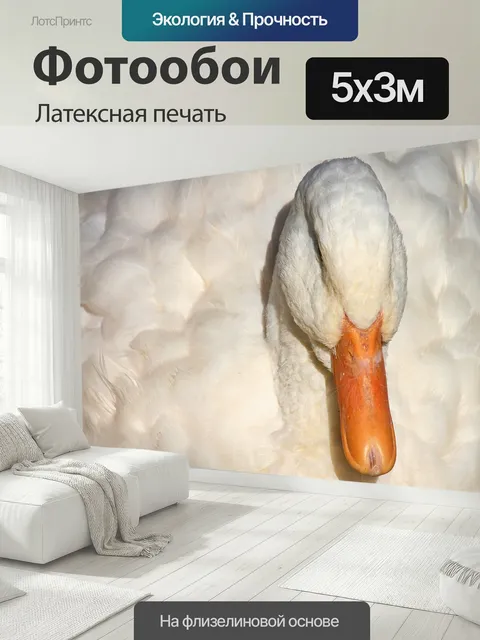500 × 300 см · Латексная печать