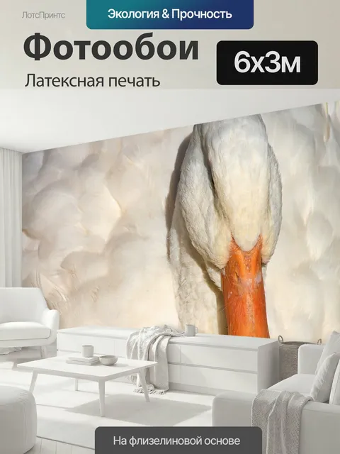 600 × 300 см · Латексная печать