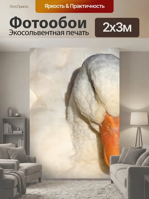 200 × 300 см · Экосольвентная печать