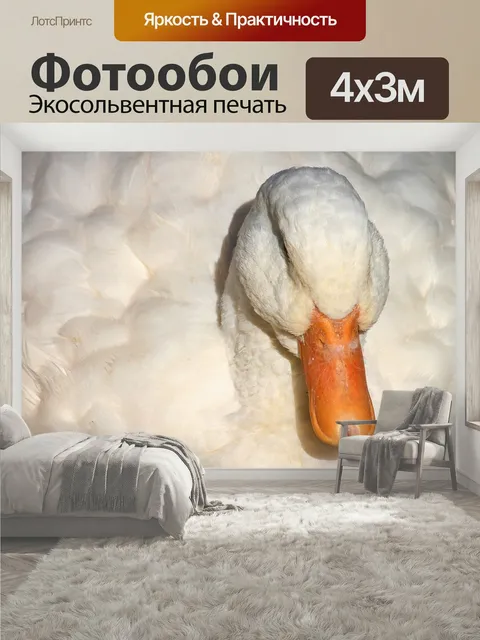 400 × 300 см · Экосольвентная печать