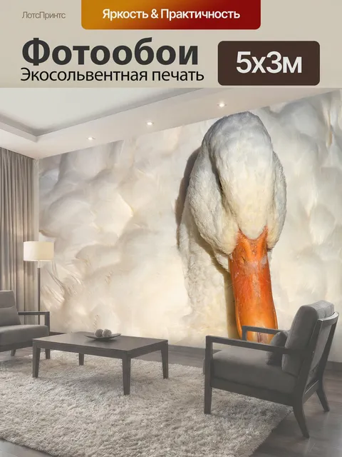 500 × 300 см · Экосольвентная печать