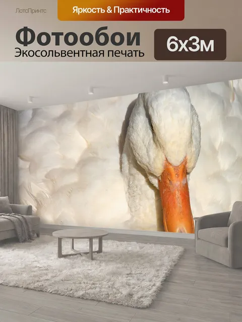 600 × 300 см · Экосольвентная печать