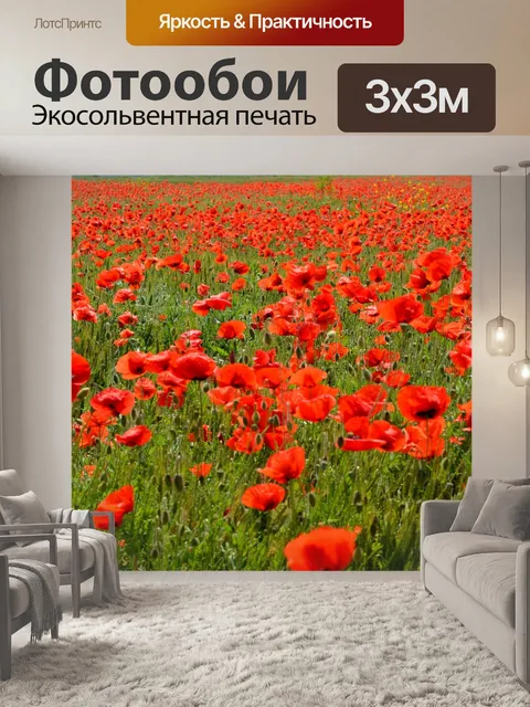 Фотообои Маки, красный, цветок