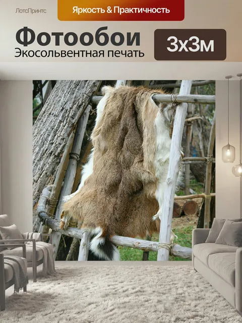 Фотообои Шкура оленя, шкура, коренной американец