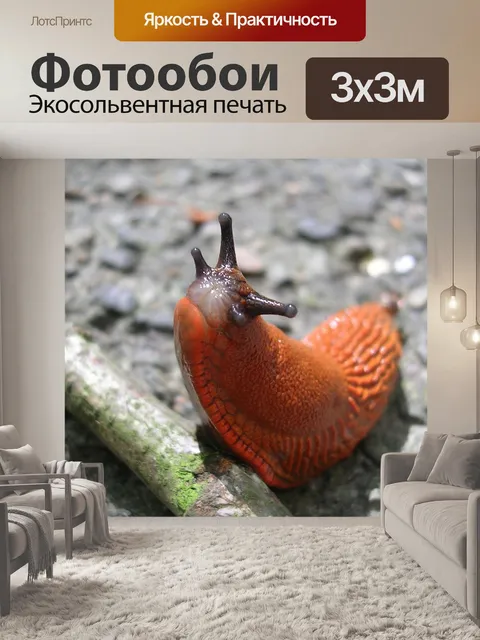 Фотообои Весна, слизняк, улитка