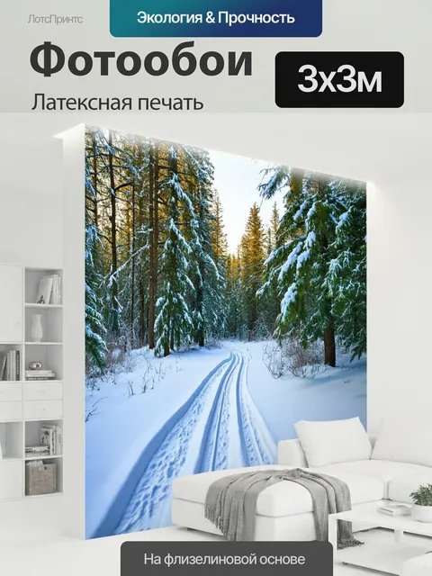 300 × 300 см · Латексная печать