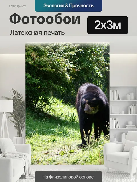 200 × 300 см · Латексная печать