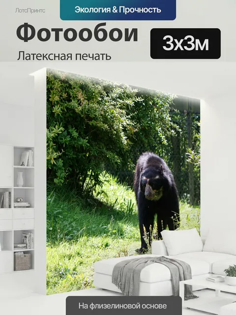 300 × 300 см · Латексная печать