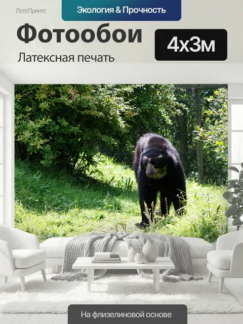 400 × 300 см · Латексная печать