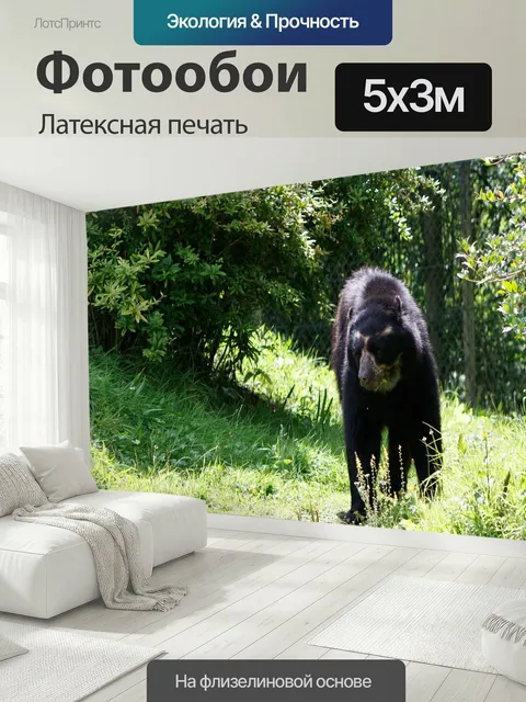 500 × 300 см · Латексная печать