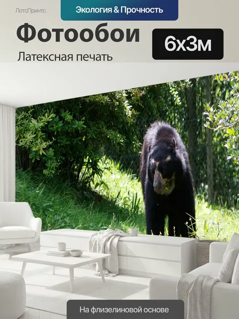 600 × 300 см · Латексная печать