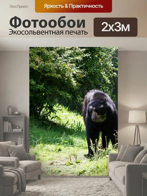 200 × 300 см · Экосольвентная печать