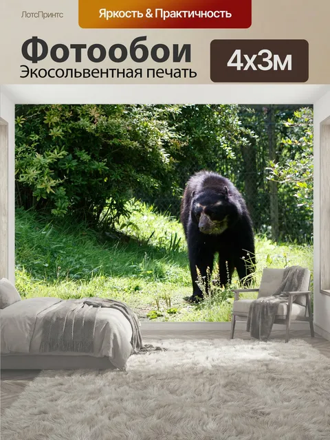 400 × 300 см · Экосольвентная печать