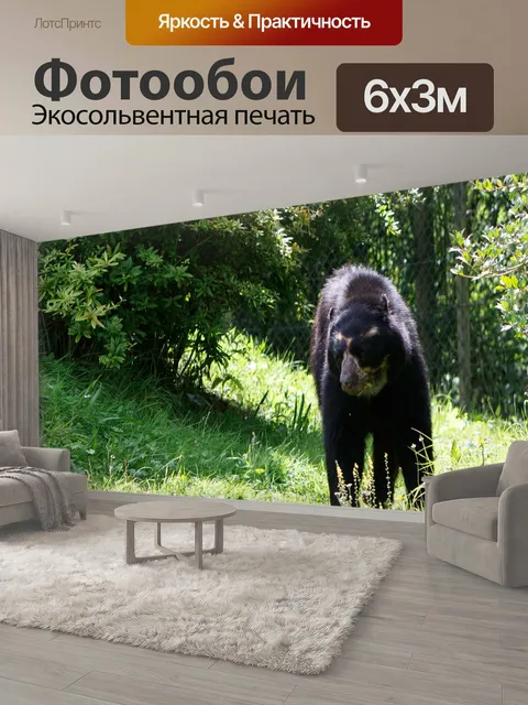 600 × 300 см · Экосольвентная печать