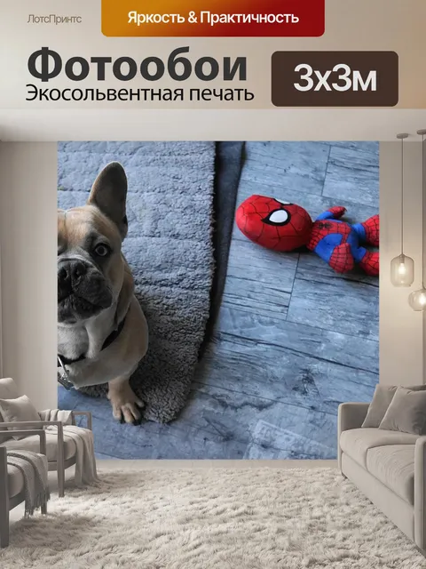 Фотообои Французский бульдог, собака, игрушка