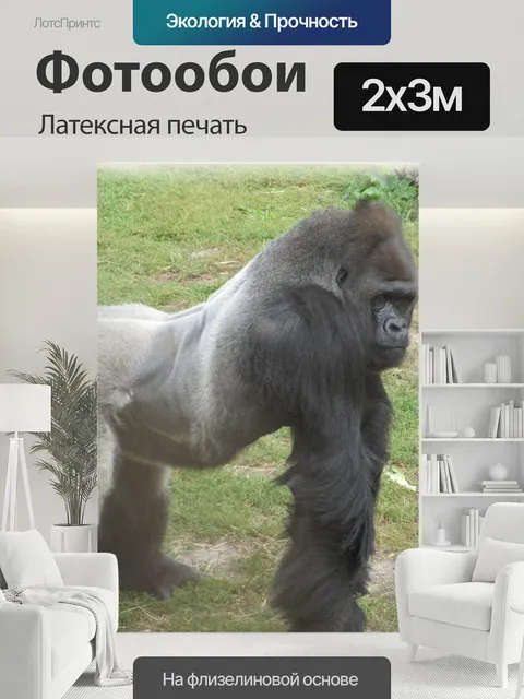 200 × 300 см · Латексная печать