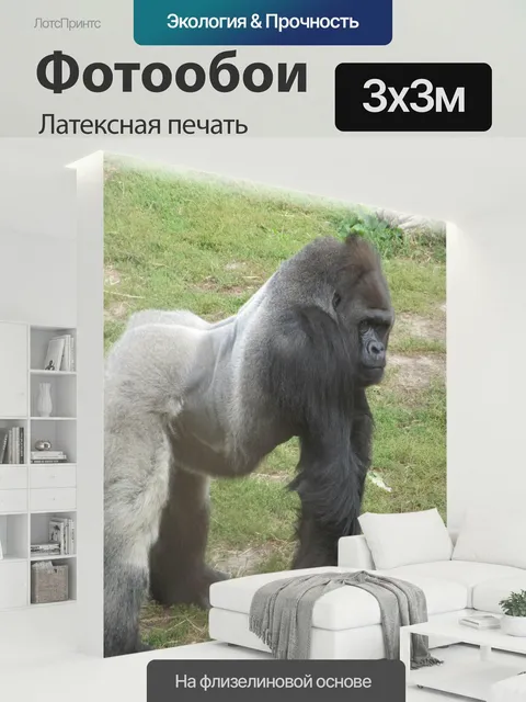 300 × 300 см · Латексная печать