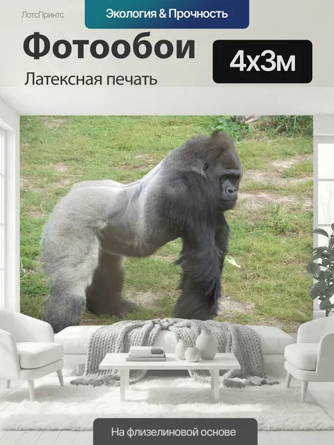 400 × 300 см · Латексная печать