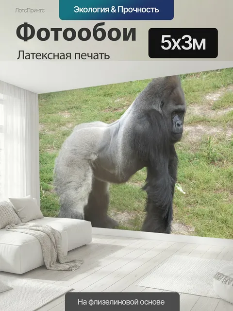500 × 300 см · Латексная печать