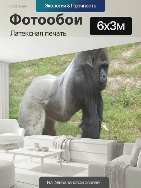 600 × 300 см · Латексная печать
