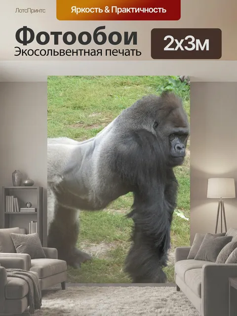 200 × 300 см · Экосольвентная печать