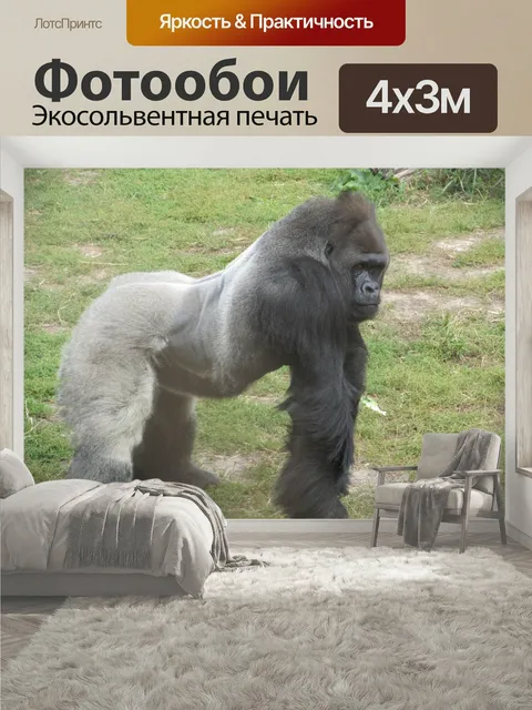400 × 300 см · Экосольвентная печать