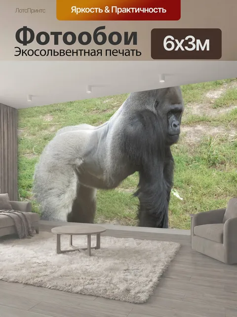 600 × 300 см · Экосольвентная печать