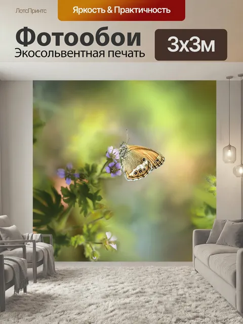 Фотообои Бабочка, бабочки, насекомое